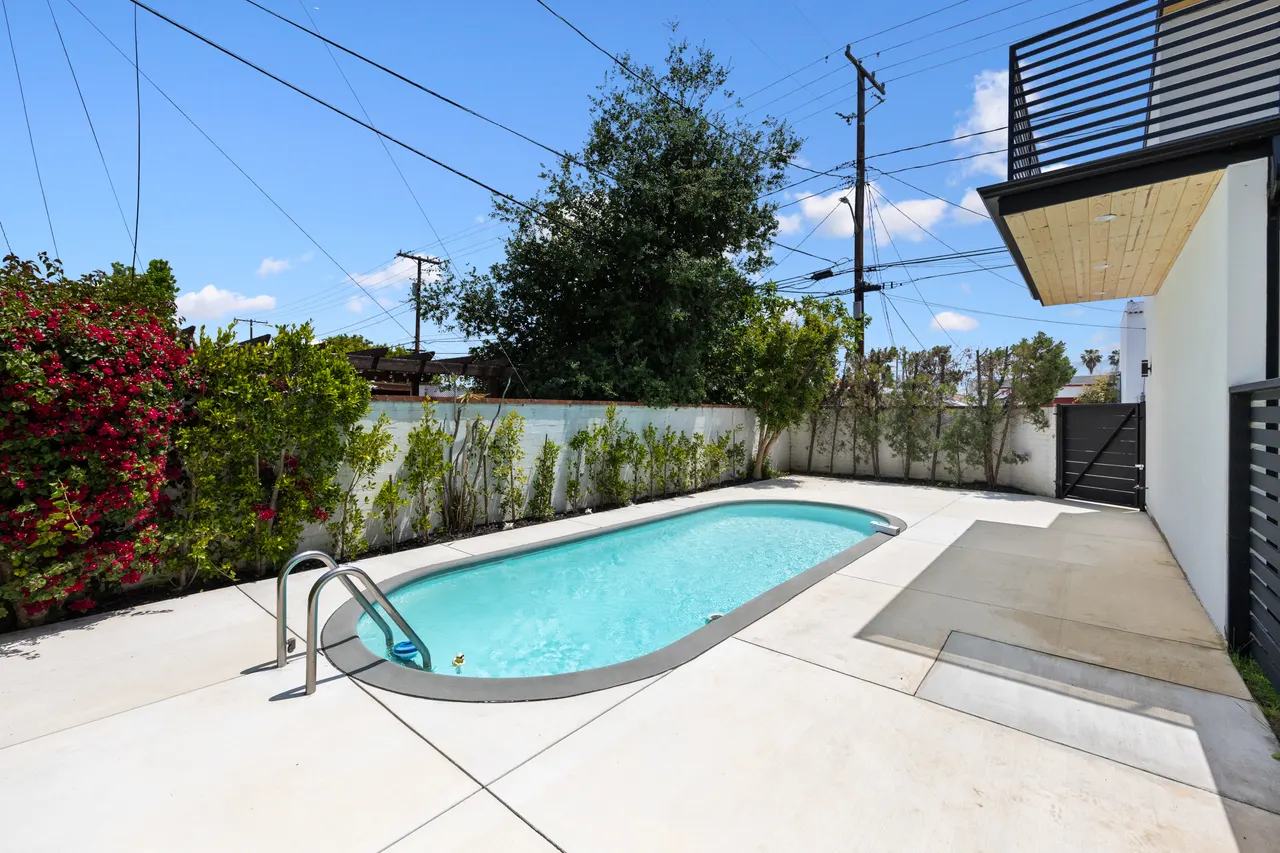 Backyard pool with a curved oval shape, concrete decking, and a privacy wall lined with bougainvillea and greenery
